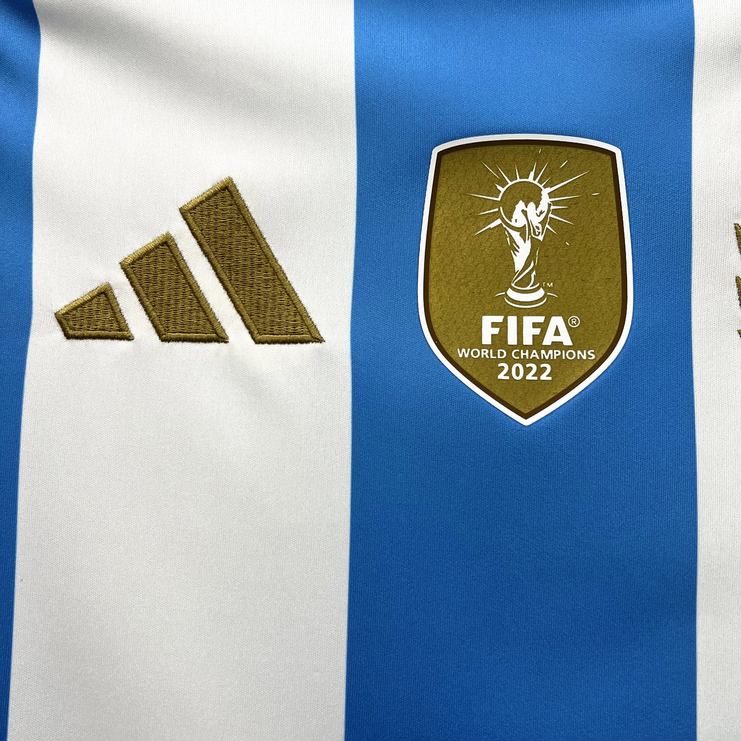 Argentina 2024/25 Home